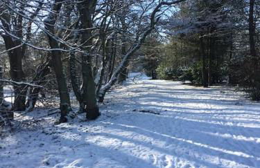 Kings Cottage, Nairn - a charming place to stay - Foto 11