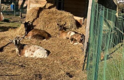 Gîte Baie de Somme à 5 mn de la mer Chez Nath & Jack - Foto 25