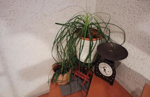 Ferienhaus Ziegler - Foto 6