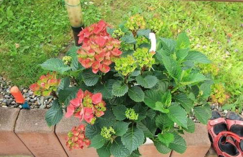 Holiday Home Männel by Interhome - Foto 35