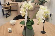 Apartamento Marea - Foto 17