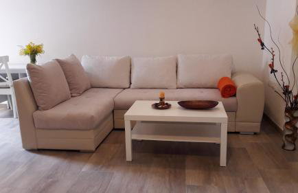 Apartment Nena- apartman sa posebnim ulazom u prizemlju, terasom i zelenom okućnicom - Foto 6