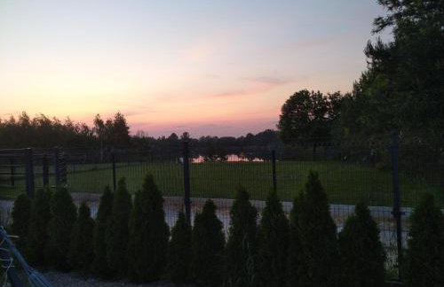 zakątek pod świerkami - Foto 25