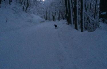 Appartamento Turistico Dal Morino - Foto 20