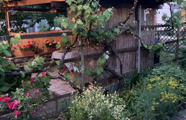 La casa nel verde - Foto 19