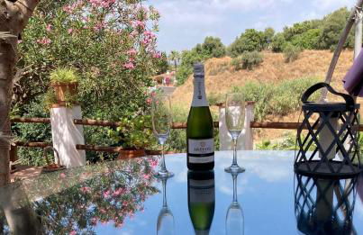 Apartment Casa Casandra , Urbanisation Dona Pilar - beautiful, peaceful & tranquil - Photo 6