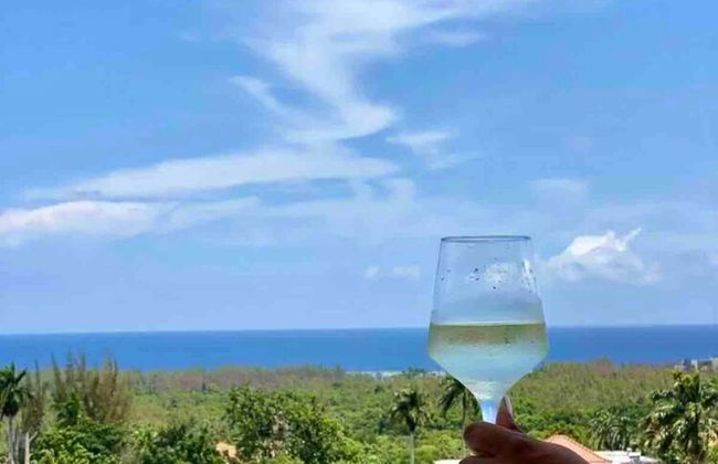 Charming Sea View Town House Chef Driver Optional - Photo 7