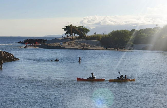 Andorinhas - Foto 63