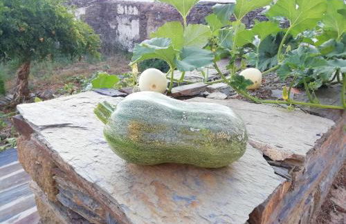 Moinho das Eiras - Foto 48