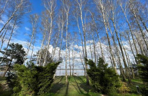 Linia brzegowa prywatny pomost własny kajak hamaki grill ognisko kominek w domu taras Domek dla 6 osób nad samą wodą BRZÓZKI 1 - Foto 7