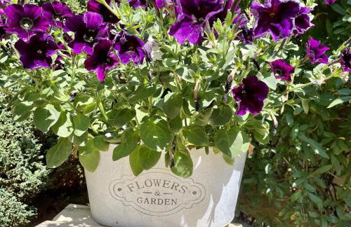 Ferienwohnung Beyer Friedrichroda - Foto 19