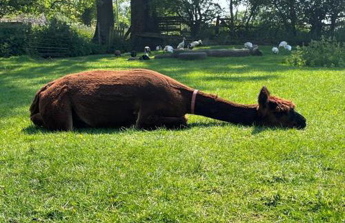 2 Bed in Matlock oc-77632 - Foto 17