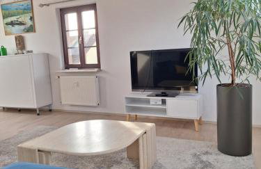 Zentrale Fewo zwischen Heidelberg und Mannheim - Foto 8