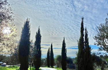 Courela do Monte Novo - Photo 18