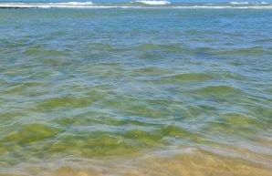 Apartamento espetacular na MELHOR praia da Bahia, GUARAJUBA é uma das únicas praias com selo azul do Brasil -Luxo, lazer, diversão e tranquilidade! Projetado para que você tenha a melhor experiência em hospedagem - Condominio tipo resort, o mais procurado - Foto 24