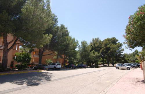 Zeus Guardamar Seaview - Foto 23