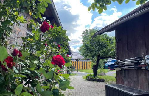 Lehdsche Heubuchten - Foto 73