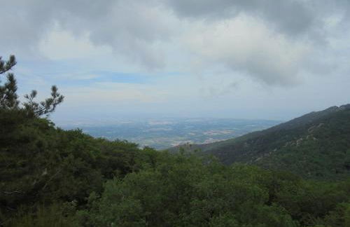 Villa El Còrrec - Photo 25