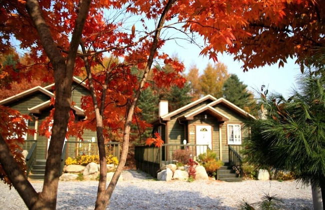 Hurb Green - Foto 64