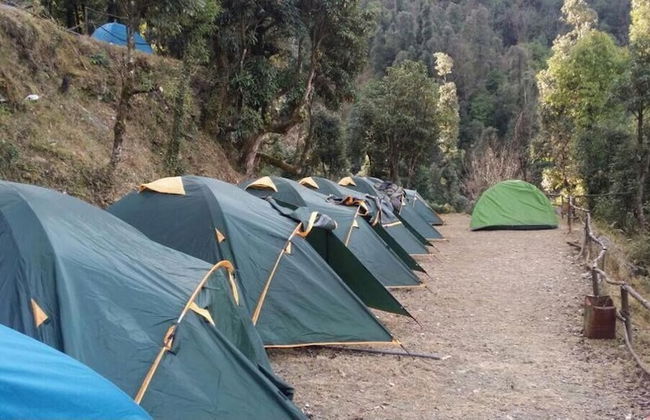 Janardan Campsite Kausani - Foto 1