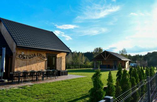 Domek 14 osobowy-OSTOJA LDZAŃ - Foto 3