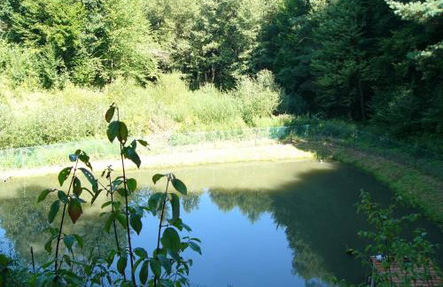 Agroturystyka - AGRODOMEK -Basen, Jacuzzi, Sauna - Foto 23