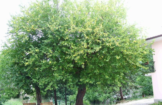 Il Ruscello di Ceraso - Foto 20