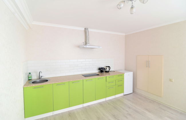 Megapolis Apartments on Bolshaya Manezhnaya street 13V - Foto 16