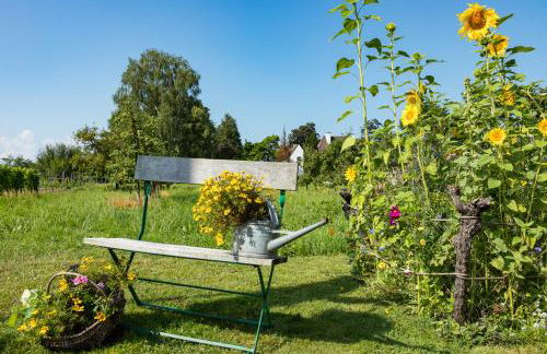 Ferienapartment Säntisblick - gemütlicher Rückzugsort mit Ausblick - Photo 16