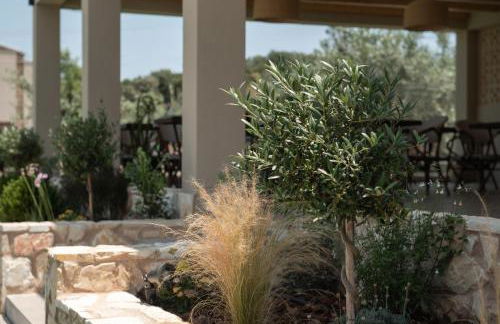 NATURE VIEW - Foto 17