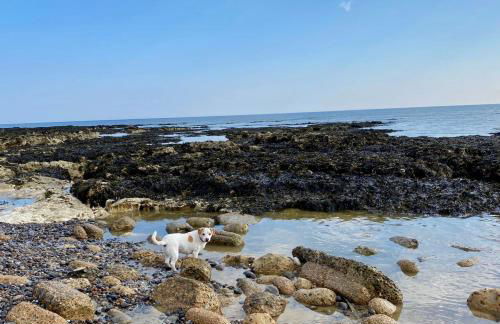 Cairo House - Foto 20