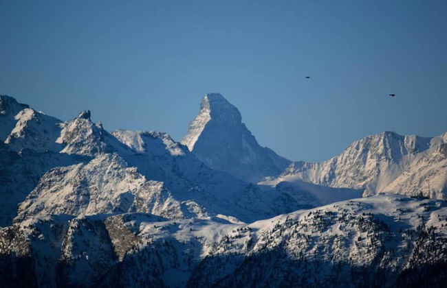 Bärgblüemli EG Süd - Foto 5