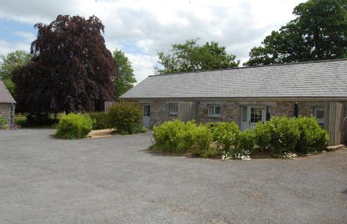 Dryslwyn Cottage - Foto 35