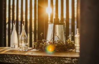 Bujanie w sitowiu - Foto 79