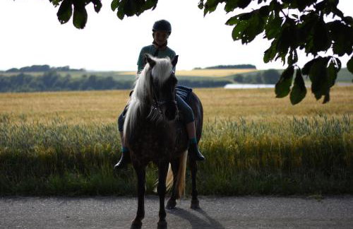 Landhof Lieg - Tierische Auszeit in unseren gemütlichen Ferienwohnungen - Foto 34