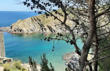 Villa Troc Pinell - Foto 43