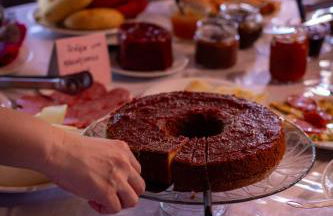 Figueira do Rio do Boi Com Hidromassagem - Foto 36