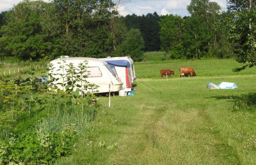 Agroturystyka Biebrzańska Kraina - Foto 41