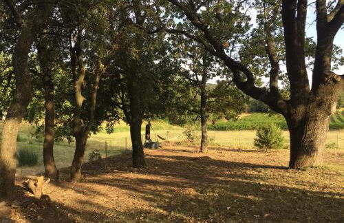 Maison de caractère - Foto 5