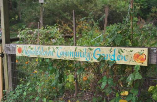 Violet Fizz - Foto 41