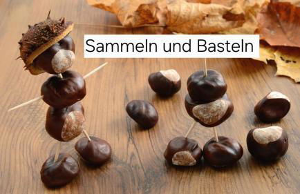 Ferienhaus Bucheneck perfekt für Familien & größere Gruppen im Seenland Lausitz - Foto 56