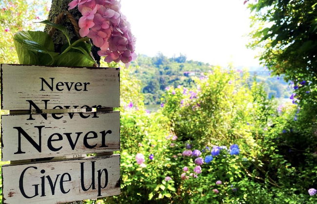 Lovely 1-bed Apartment in Santa Cruz do Douro - Photo 34