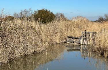 Mas des Oliviers, maison avec piscine privative et chauffée, 3 animaux acceptés LOCAMARGUE - Foto 45