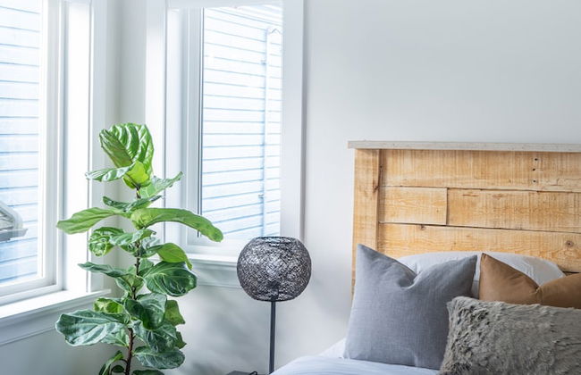 Luxury house with 3 bedrooms and 1 office - Photo 10