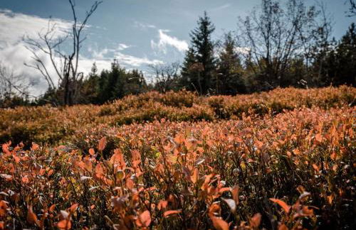 Dream view Comfortable holiday residence - Foto 19