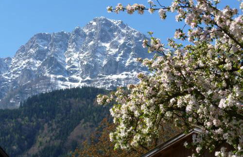 Landhaus Fürberger - Foto 10