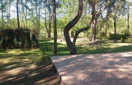 Domek nad Narwią - Foto 22