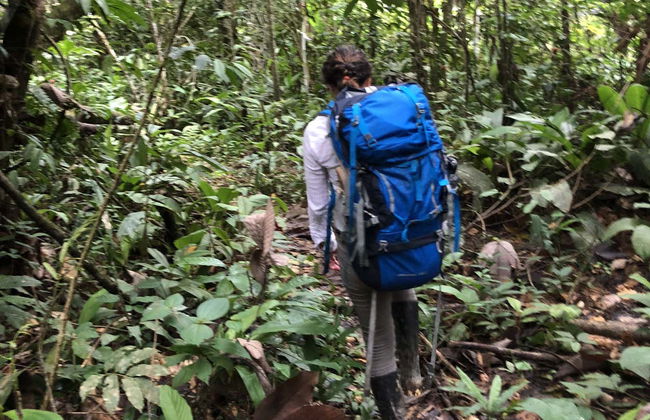 Trilha pela floresta amazônica - Foto 6