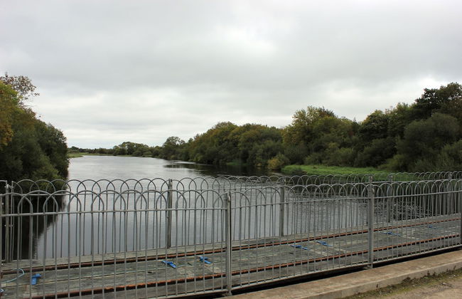 Woodview Cottage - Foto 11