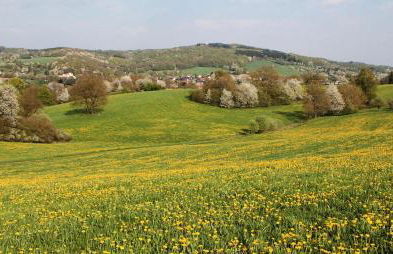 Ferienwohnung Balduin - Photo 15